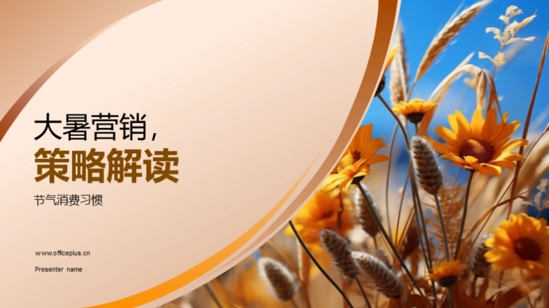 大暑营销,策略解读