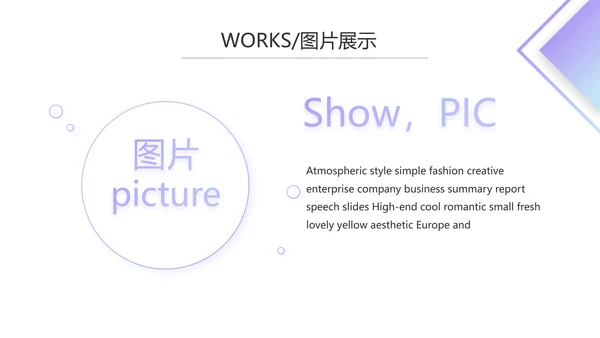 简约时尚大气公司产品介绍宣传PPT