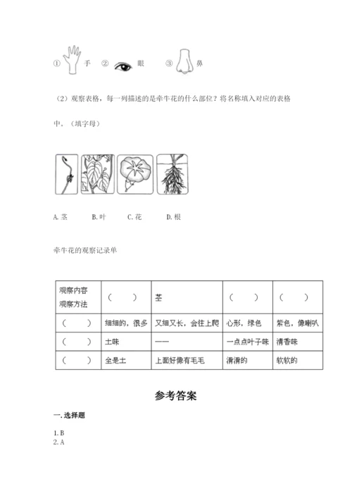教科版科学一年级上册第一单元《植物》测试卷1套.docx