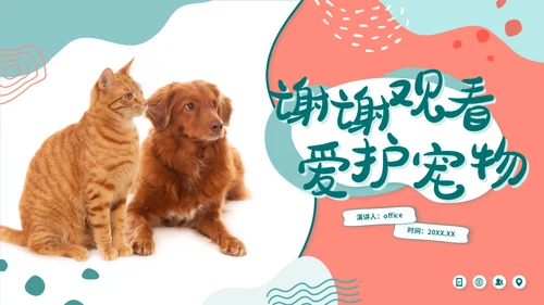 宠物店猫狗饲养心得经验分享通用PPT模板