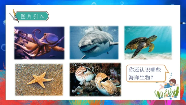 【核心素养】部编版语文三年级下册-23. 海底世界 第1课时（课件）