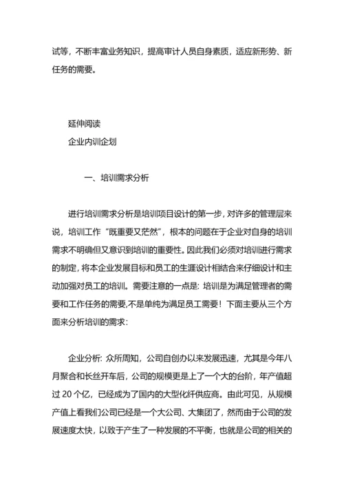 企业内审工作计划.docx