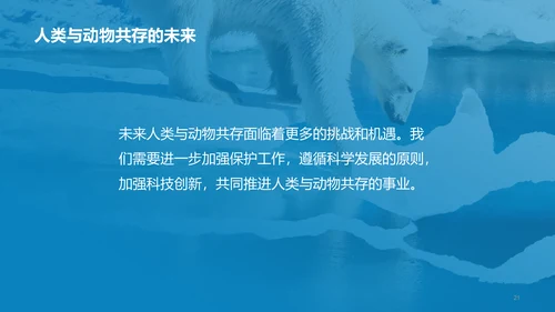 蓝色保护环境爱护动物培训课件PPT