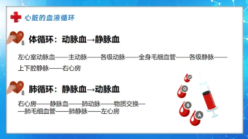 医院血液科肾内科透析通用PPT模板