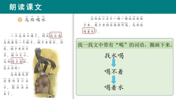 课文13《乌鸦喝水》课件