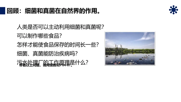 人类对细菌和真菌的利用PPT课件