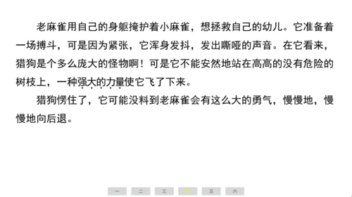 统编版语文四年级上册（江苏专用）第五单元素养测评卷课件