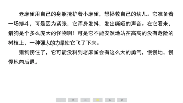 统编版语文四年级上册（江苏专用）第五单元素养测评卷课件