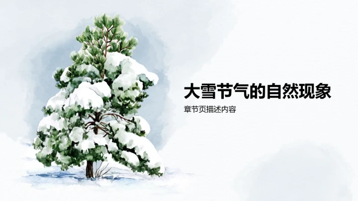 二十四节气大雪PPT模板