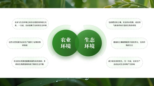 绿色商务农业发展通用PPT模板