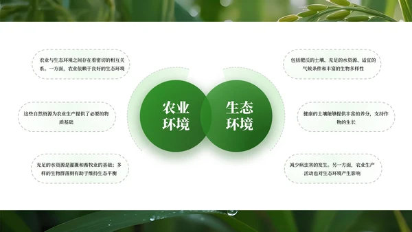 绿色商务农业发展通用PPT模板