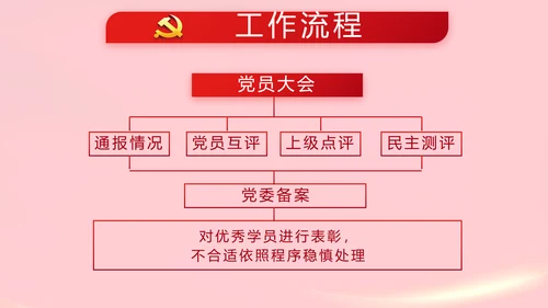 红色党支部党员代表大会工作总结PPT