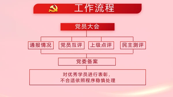 红色党支部党员代表大会工作总结PPT