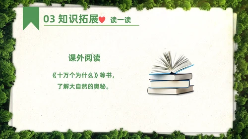 绿色简约实拍要是你在野外迷了路二年级语文下册说课PPT课件小学语文二年级下册课件