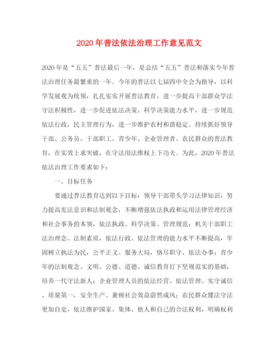 精编之年普法依法治理工作意见范文.docx