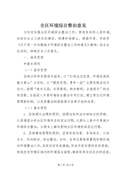 全区环境综合整治意见.docx