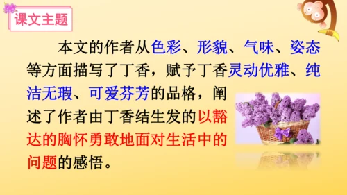 2 丁香结  课件