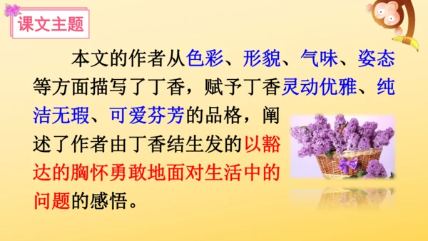 2 丁香结  课件
