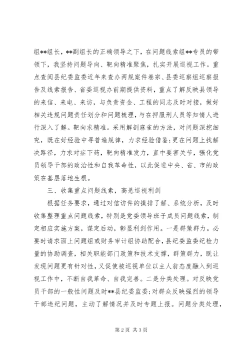 抽调巡视巡察期间个人工作总结.docx