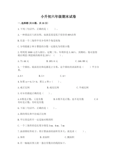 小升初六年级期末试卷（能力提升）word版.docx