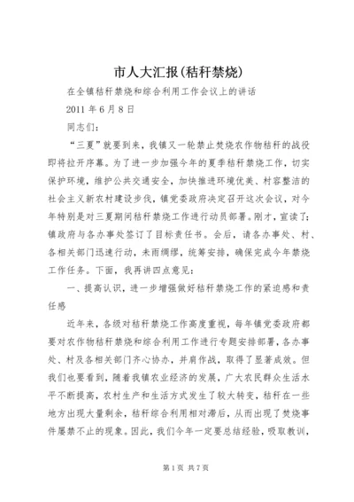 市人大汇报(秸秆禁烧) (4).docx