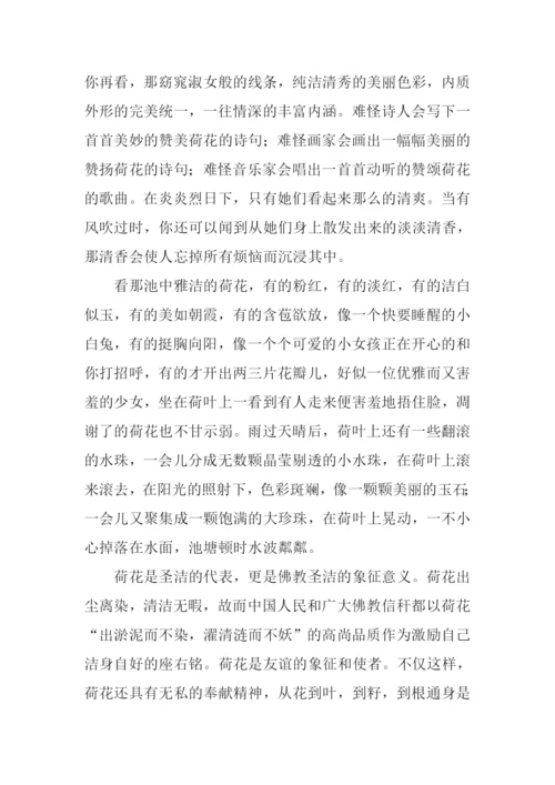 关于染的作文.docx