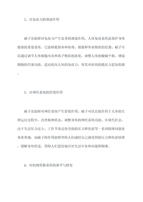 磁子功效与作用
