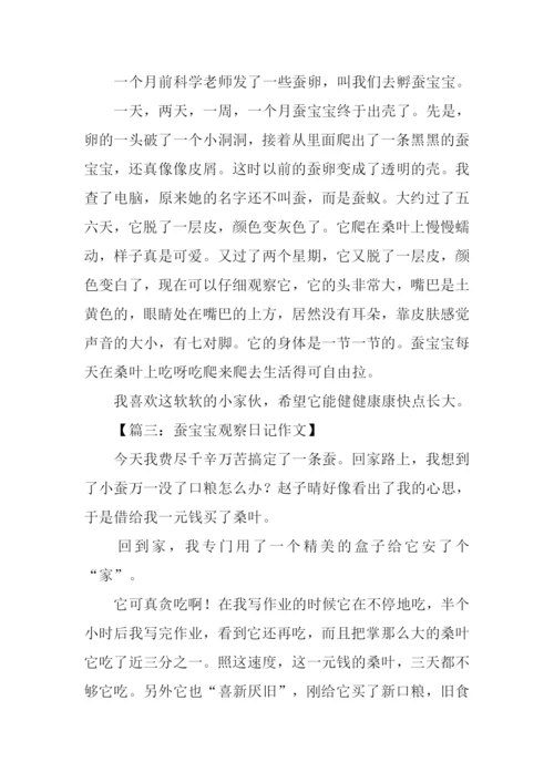 蚕宝宝观察日记300字.docx
