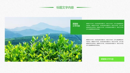 绿色唯美清新茶园文化茶艺品茶论道PPT模板