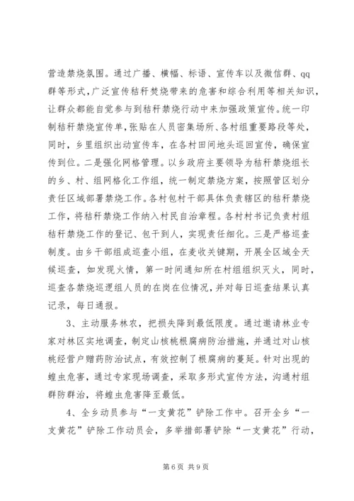 乡镇政府某年工作总结及某年工作计划.docx