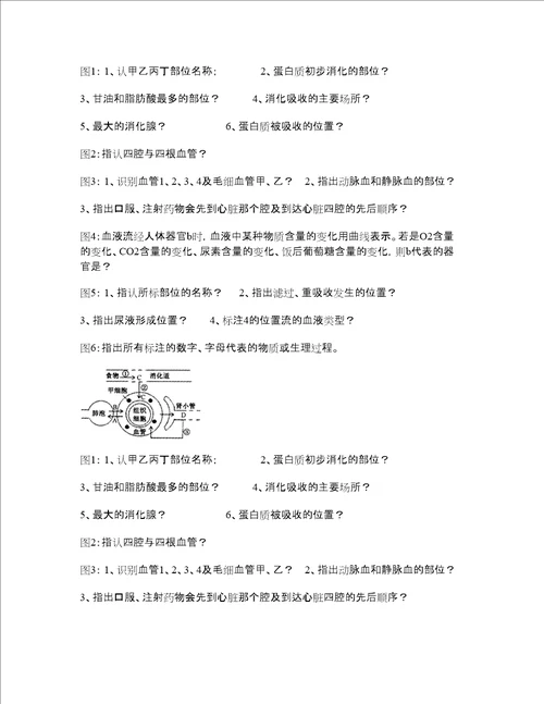 九年级科学生物图过关