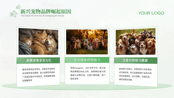 绿色宠物行业报告PPT模版