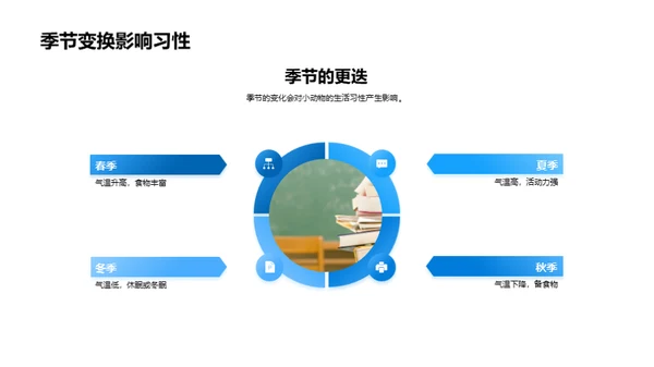 小动物的生存与进化