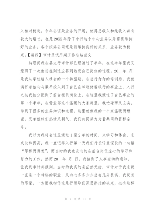 审计员试用期工作总结范文四篇.docx