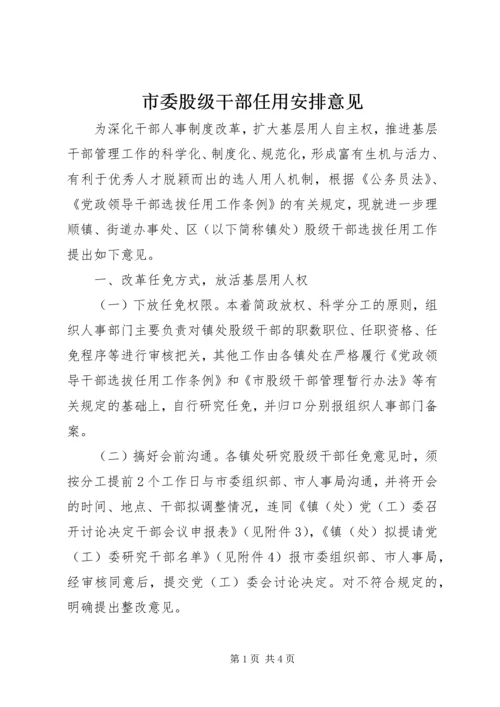市委股级干部任用安排意见.docx