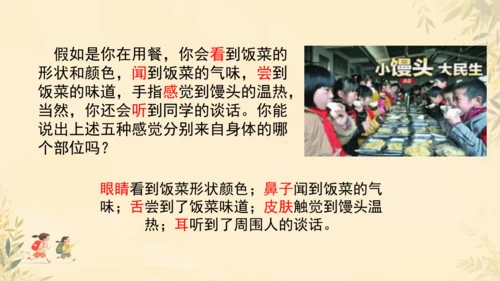 初中生物学人教版（新课程标准）七年级下册4.6.1人体对外界环境的感知课件(共33张PPT)