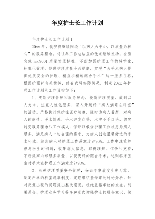 年度护士长工作计划.docx