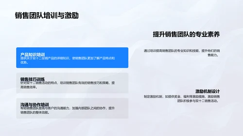 双十二销售策划PPT模板