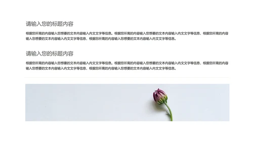 小清新花朵项目总结汇报PPT模板