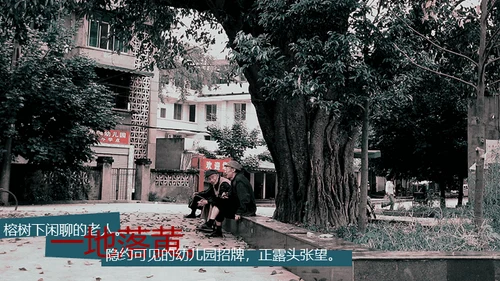 城迹牛华镇最后的首映式通用PPT模板