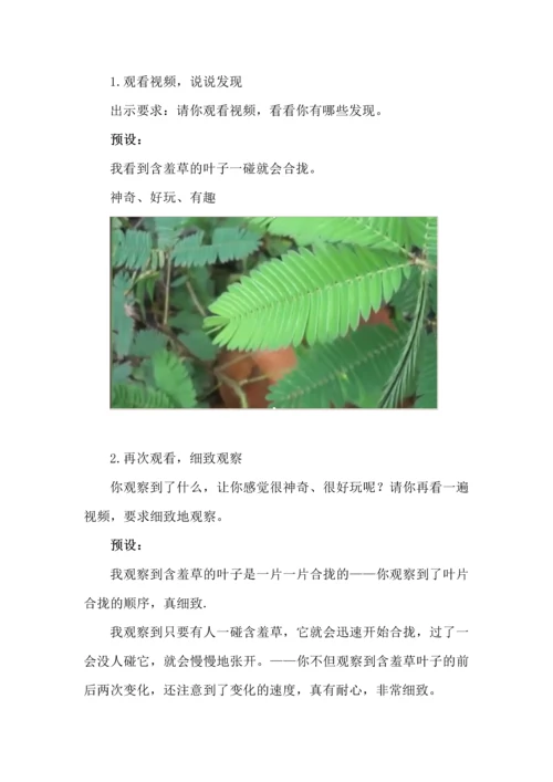 细致观察看变化--三年级语文上册第五单元《金色的草地》任务型教学设计.docx