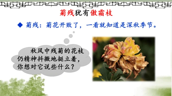 【同步课件】部编版语文三年级上册  4.古诗三首《山行》《赠刘景文》《夜书所见》   课件（3课时）