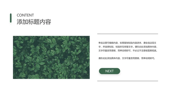绿色清新简约风月度总结PPT模板