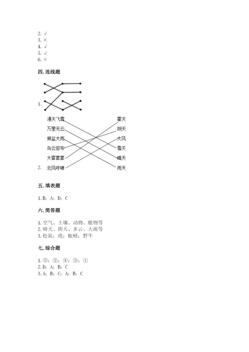 教科版二年级上册科学期末测试卷附完整答案【历年真题】.docx
