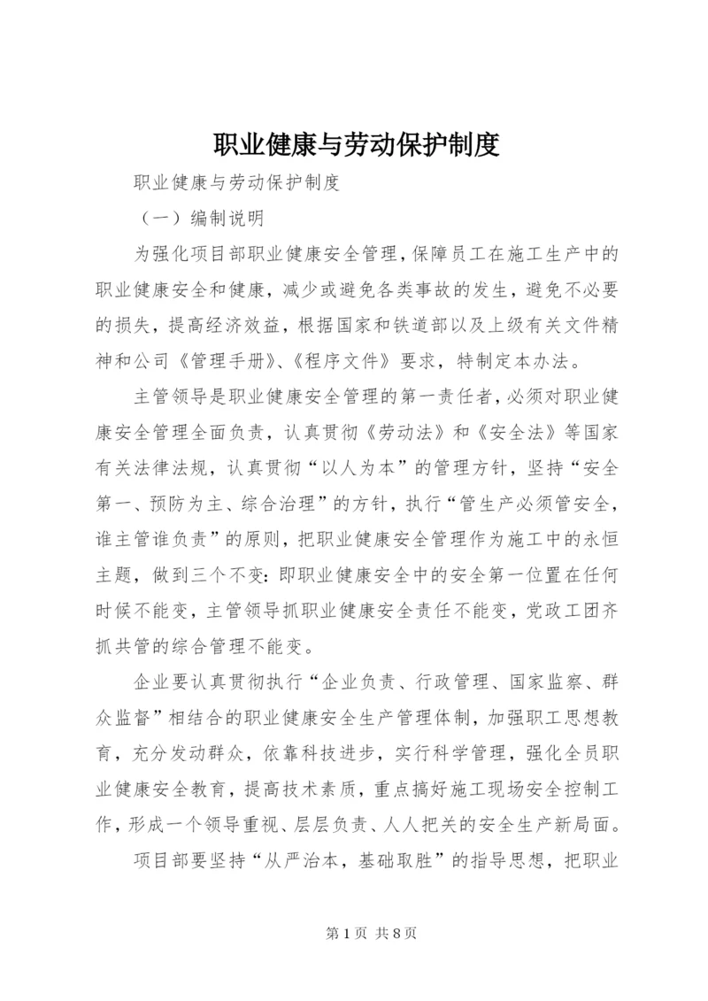 职业健康与劳动保护制度.docx