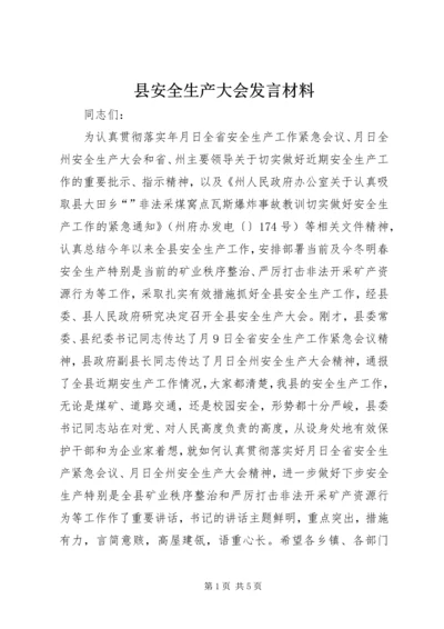 县安全生产大会发言材料.docx