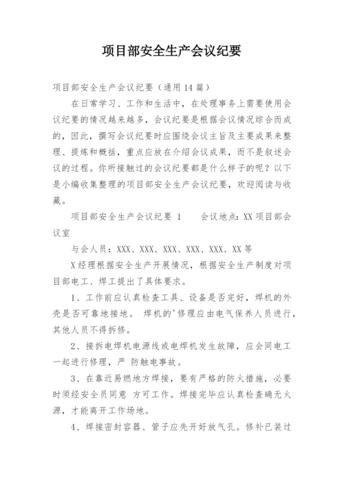 项目部安全生产会议纪要.docx