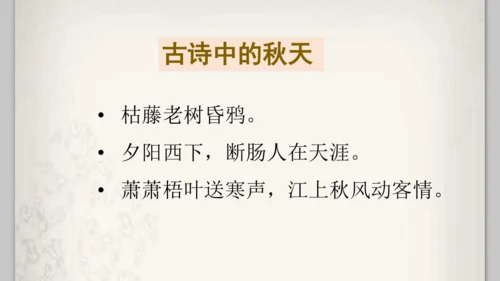 《四季之美》