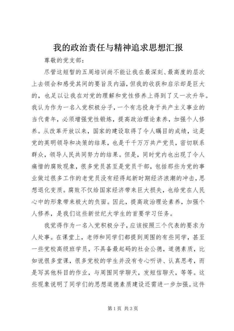 我的政治责任与精神追求思想汇报.docx