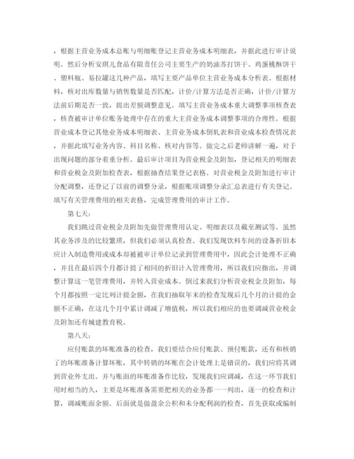 精编之财务审计实习计划范文.docx